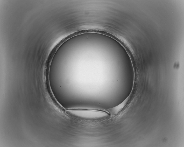 X0000091450983200709061731