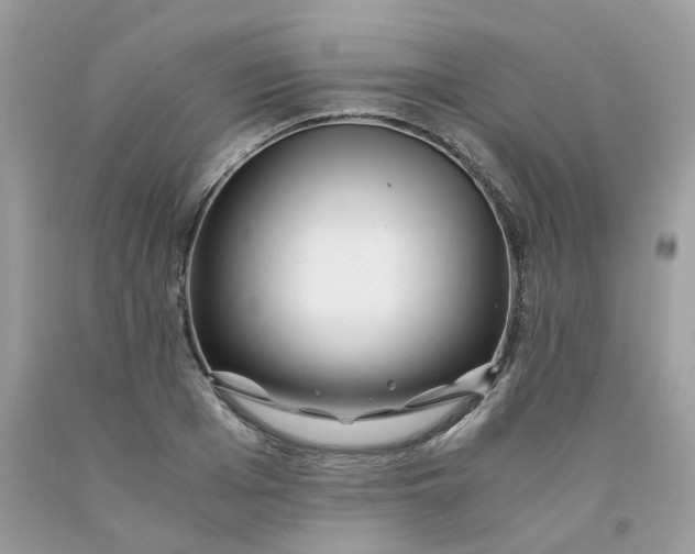 X0000091450985200709061731