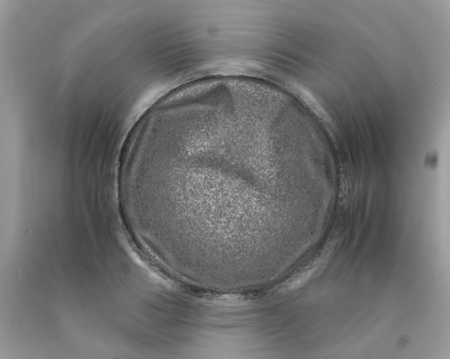 X0000091450986200709061731