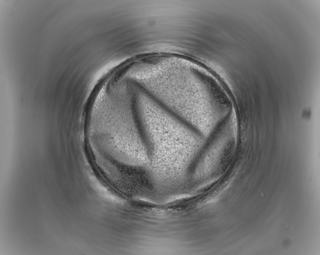 X0000091450987200709061731