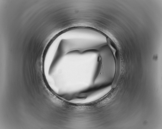 X0000091450988200709061731