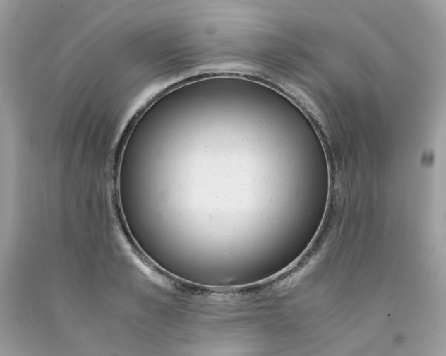 X0000091450989200709061731