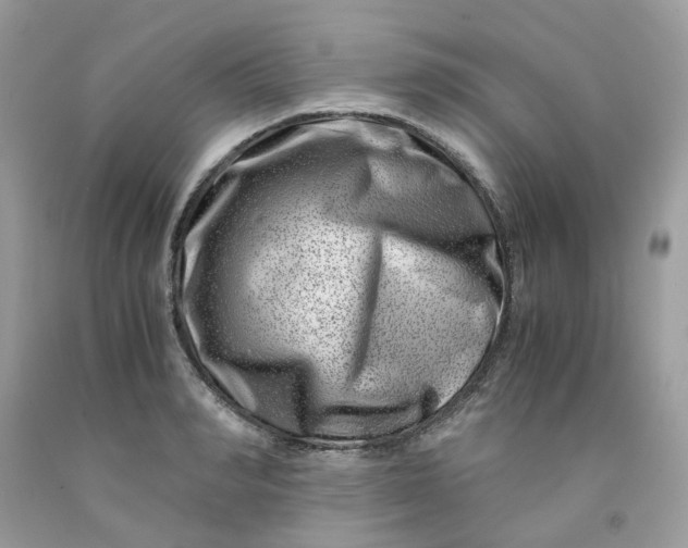 X0000091450990200709061731