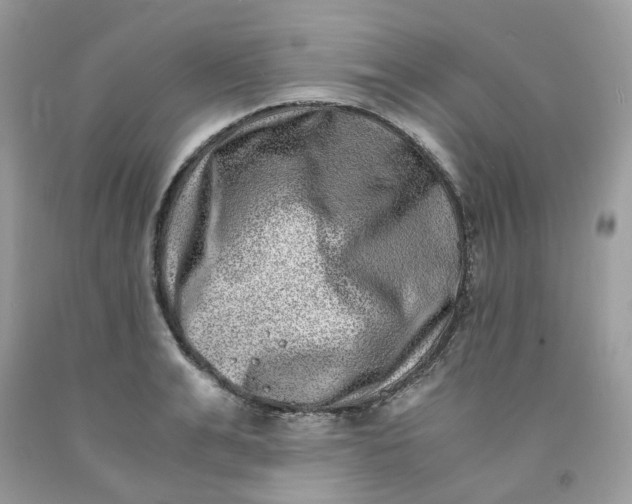 X0000091450991200709061731