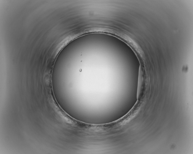 X0000091450993200709061731