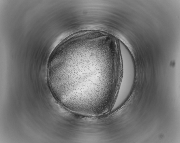 X0000091450994200709061731