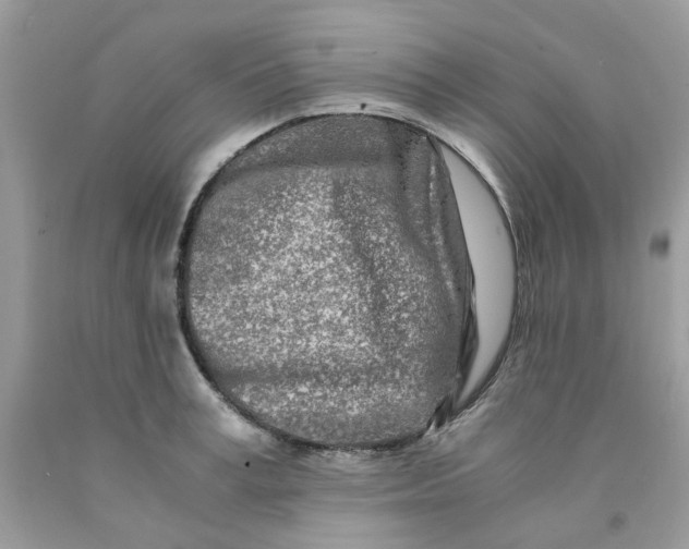 X0000091450995200709061731