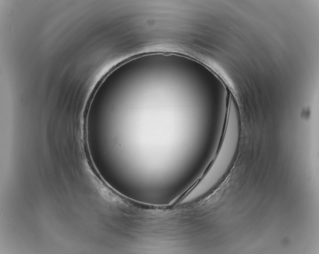 X0000091450996200709061731