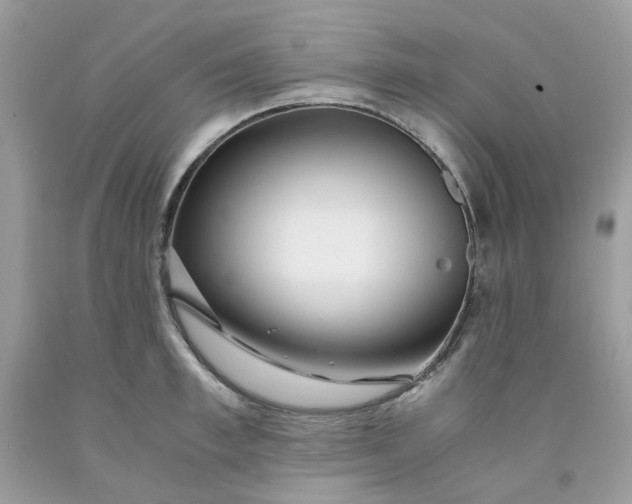 X0000091450997200709061731