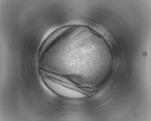 X0000091450998200709061731