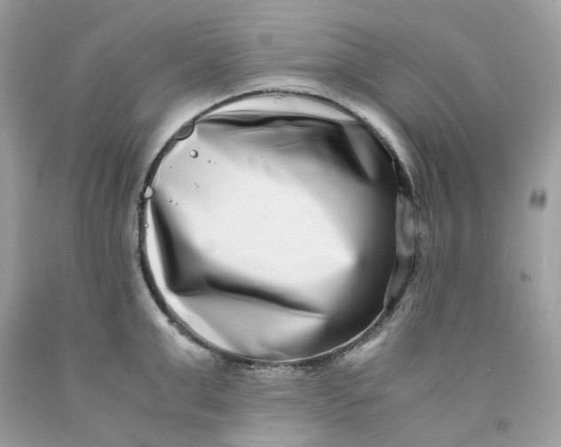 X0000091450999200709061731