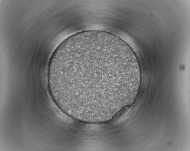 X0000091451000200709061731