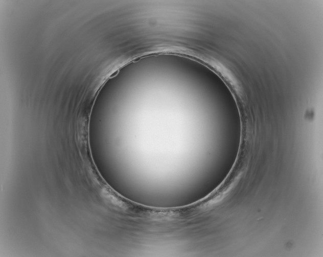 X0000091451001200709061731