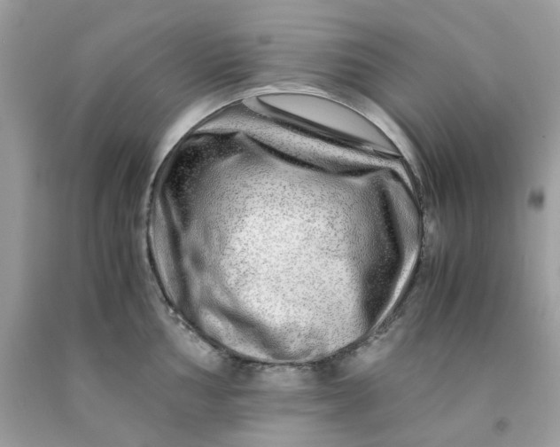 X0000091451002200709061731