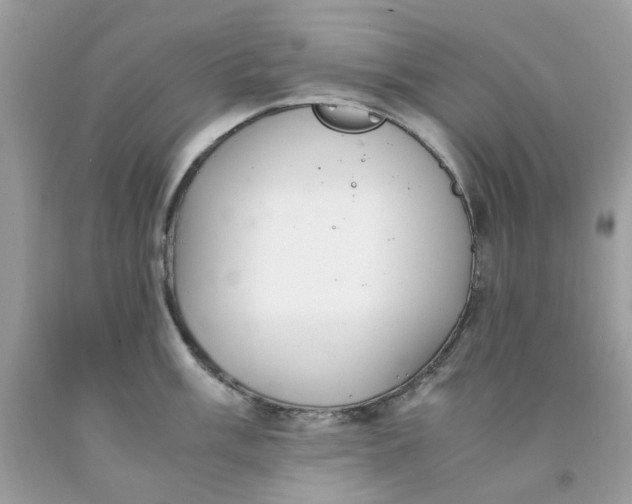 X0000091451003200709061731