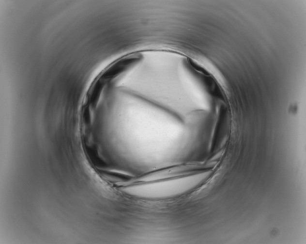 X0000091451004200709061731