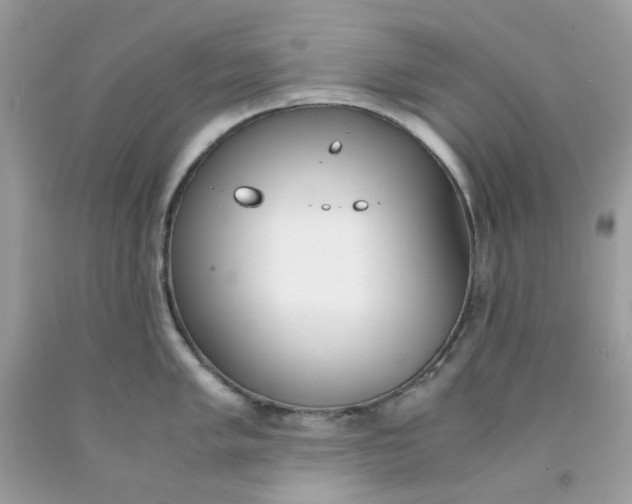 X0000091451005200709061731