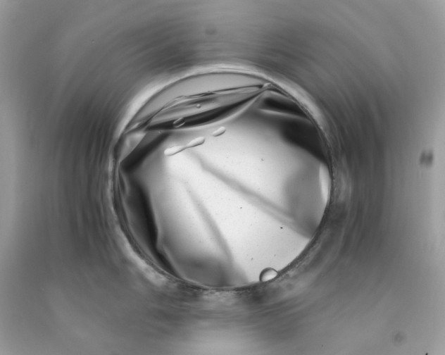 X0000091451006200709061731