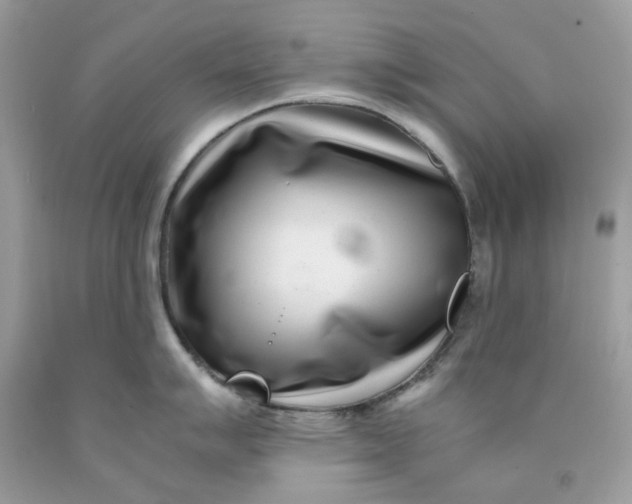 X0000091451007200709061731