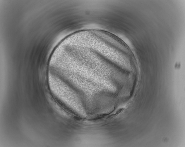 X0000091451008200709061731