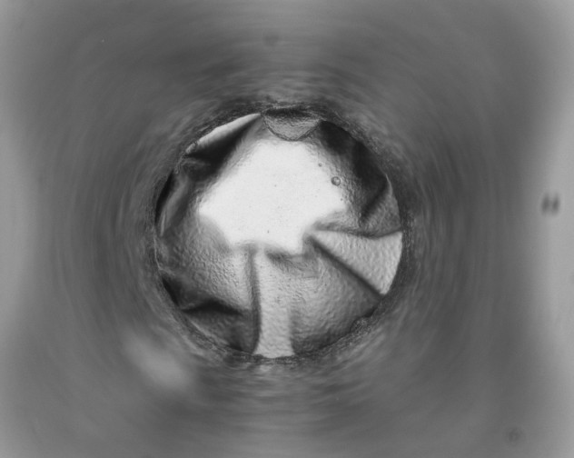 X0000091451009200709061730