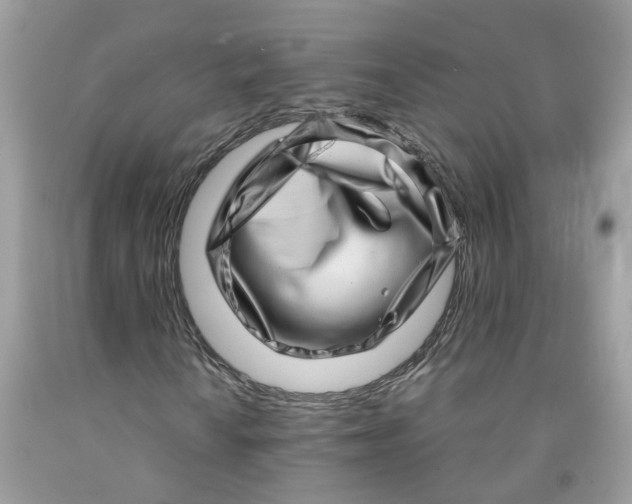 X0000091451010200709061730