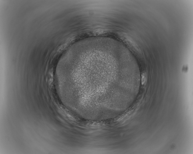 X0000091451011200709061730