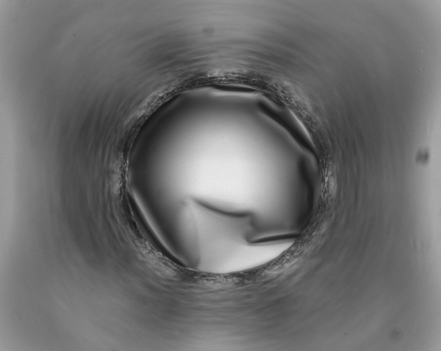 X0000091451012200709061730