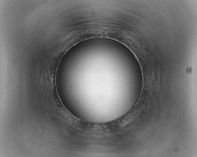 X0000091451013200709061730