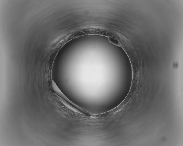 X0000091451014200709061730