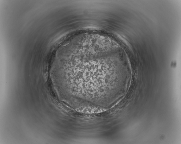 X0000091451015200709061730