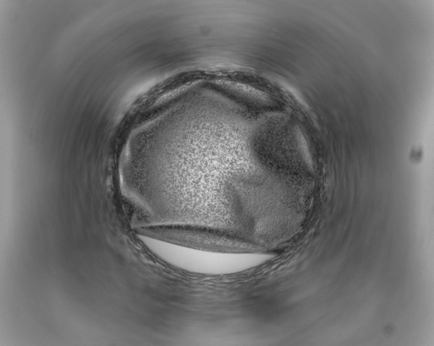 X0000091451016200709061730