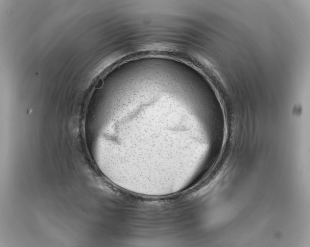 X0000091451017200709061730