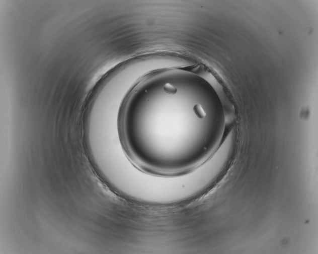 X0000091451018200709061730