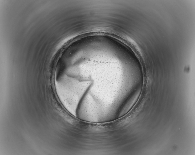 X0000091451019200709061730