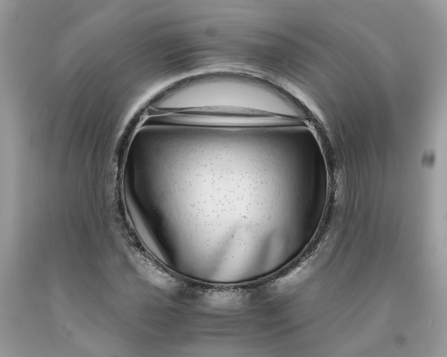 X0000091451021200709061730