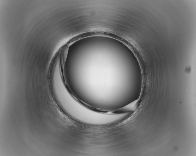 X0000091451022200709061730