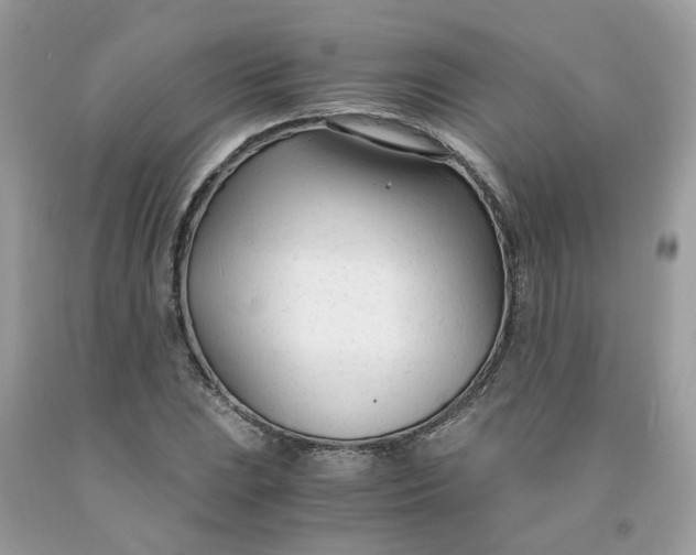 X0000091451023200709061730