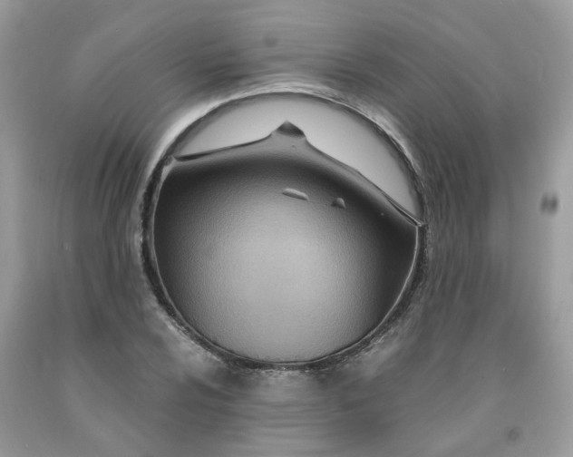 X0000091451024200709061730