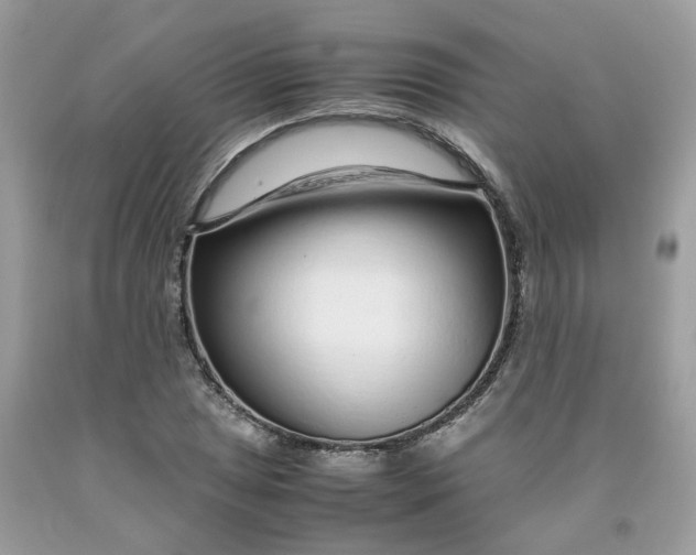 X0000091451025200709061730