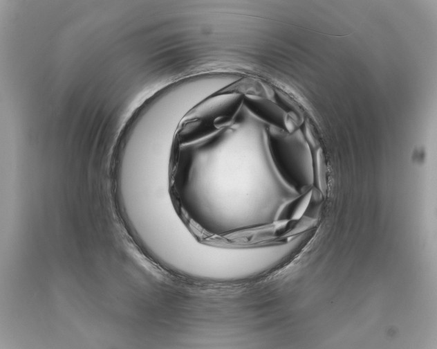 X0000091451026200709061730