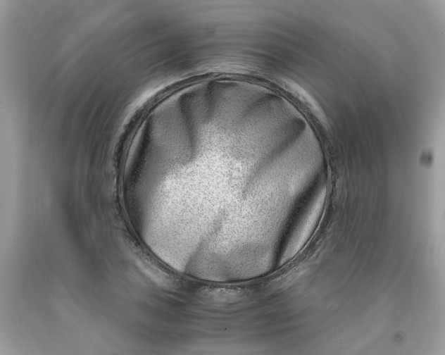 X0000091451027200709061730