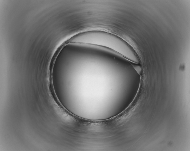 X0000091451028200709061730