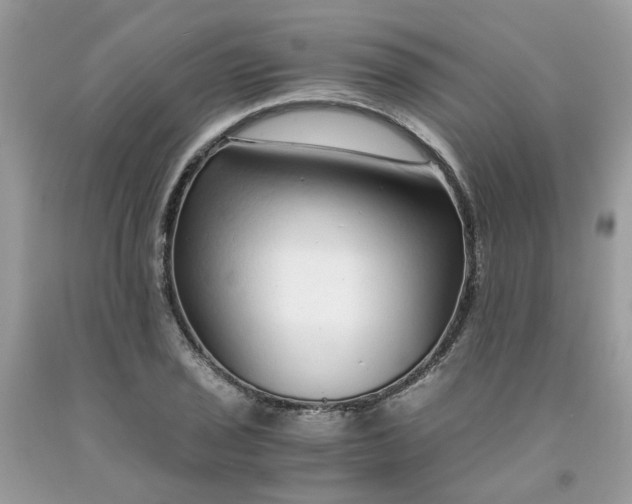 X0000091451029200709061730