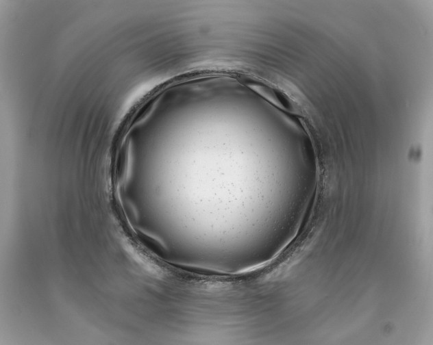 X0000091451030200709061730