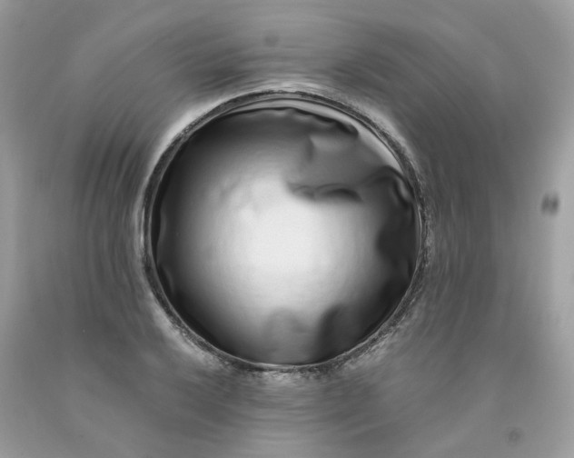 X0000091451032200709061730