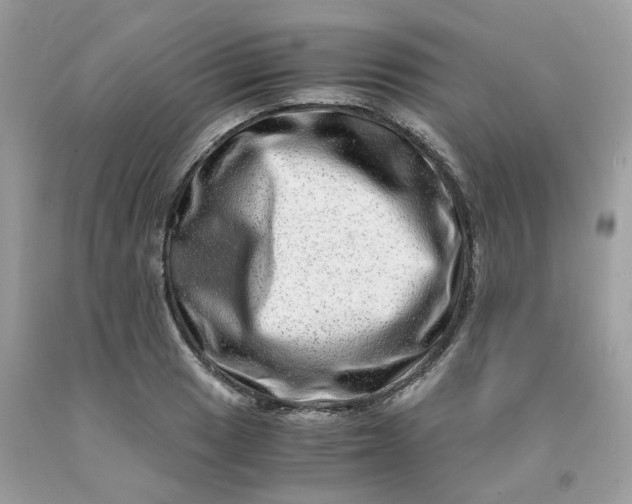 X0000091451033200709061730