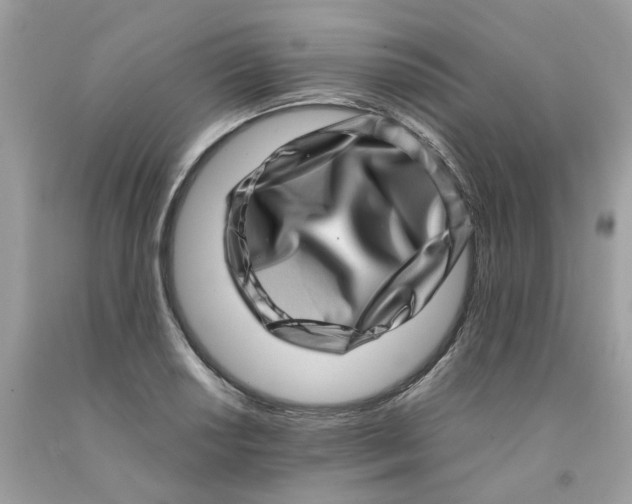 X0000091451034200709061730