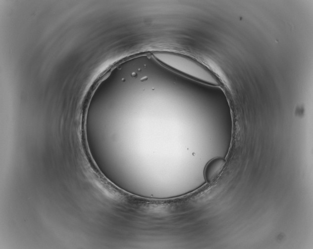 X0000091451035200709061730