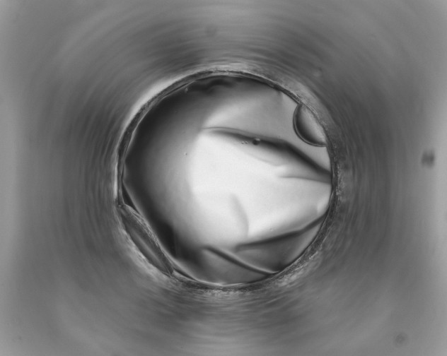 X0000091451036200709061730